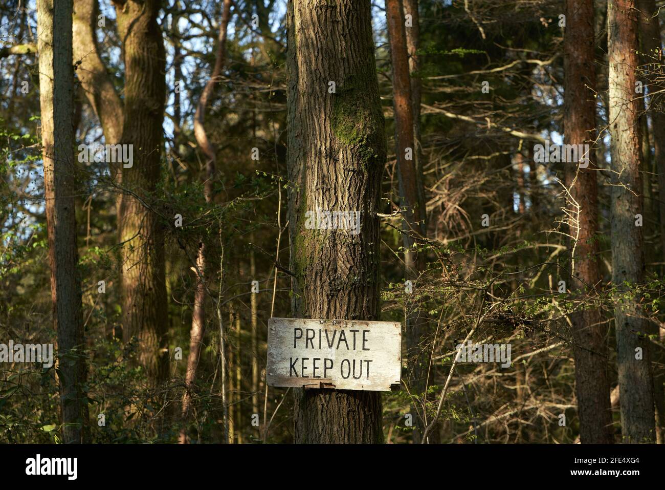 Cartello privato di uscita sul bordo di Woodland in Sussex, Regno Unito Foto Stock