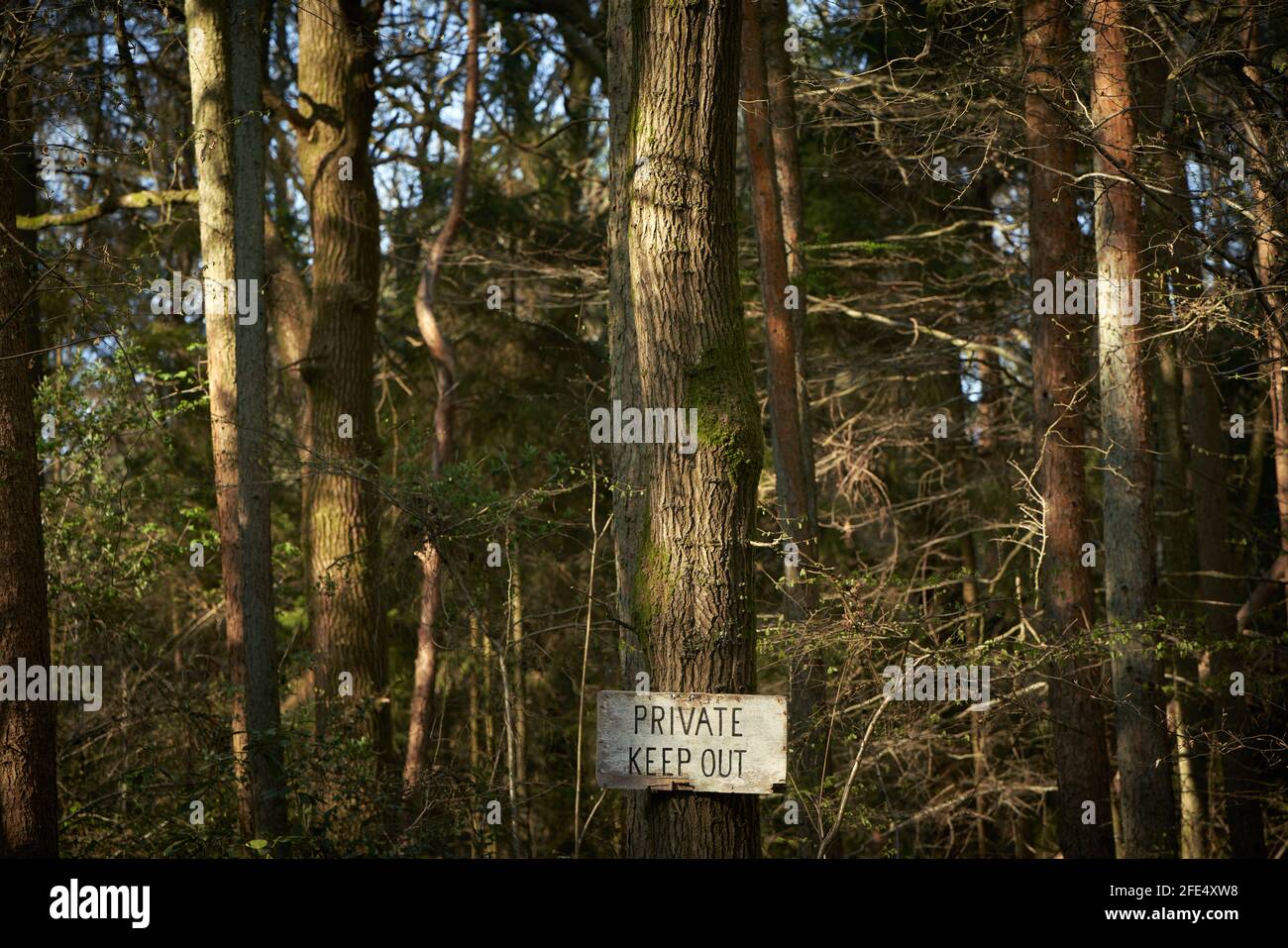 Cartello privato di uscita sul bordo di Woodland in Sussex, Regno Unito Foto Stock