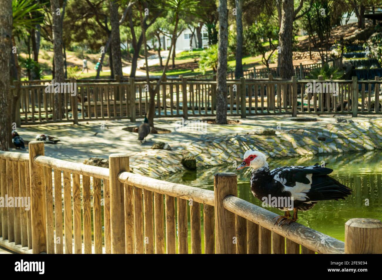 Parco della Regina Sofia a Guardamar, spagna, europa Foto Stock