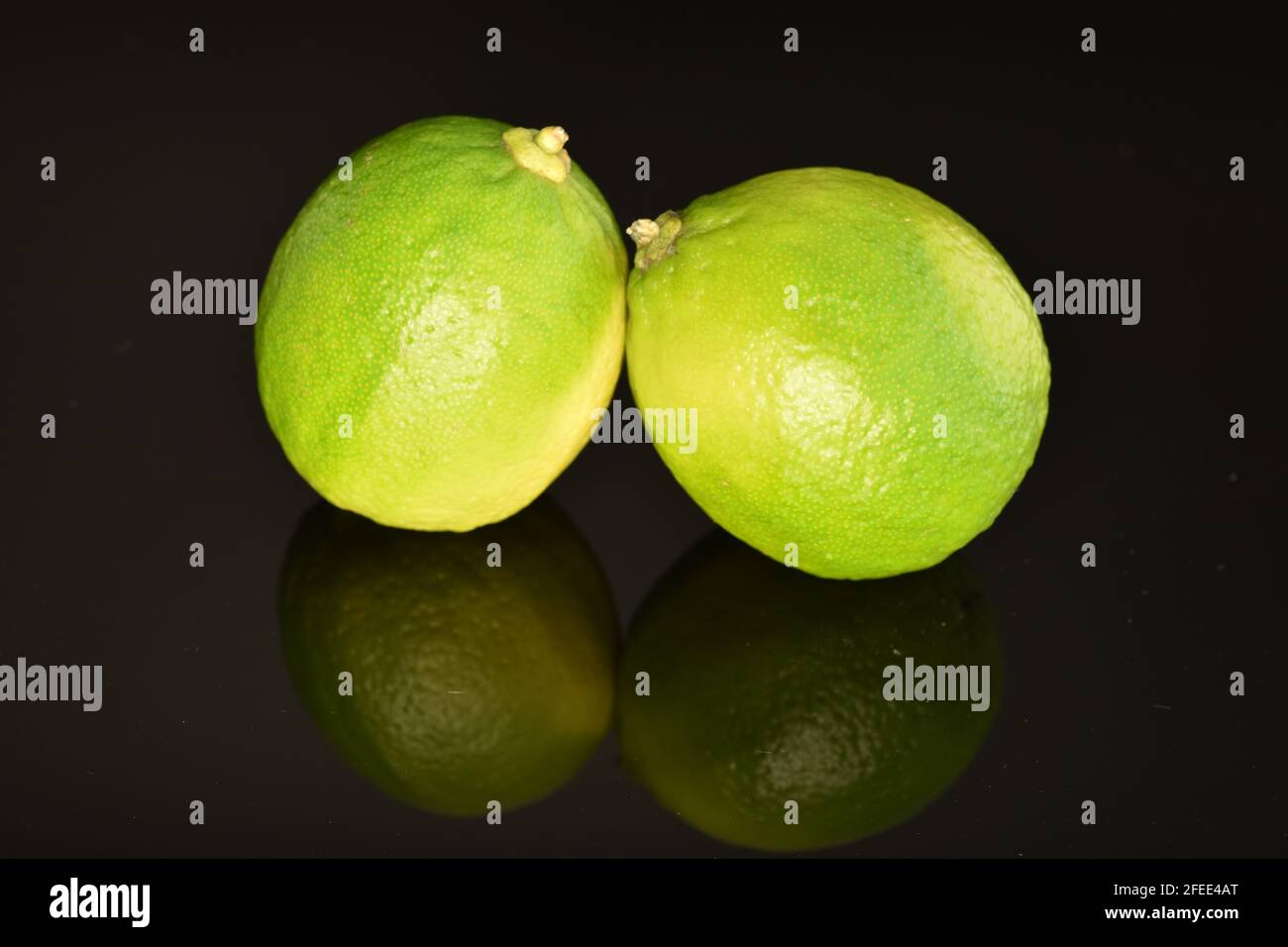 Due lime mature verdi, primo piano, su sfondo nero. Foto Stock