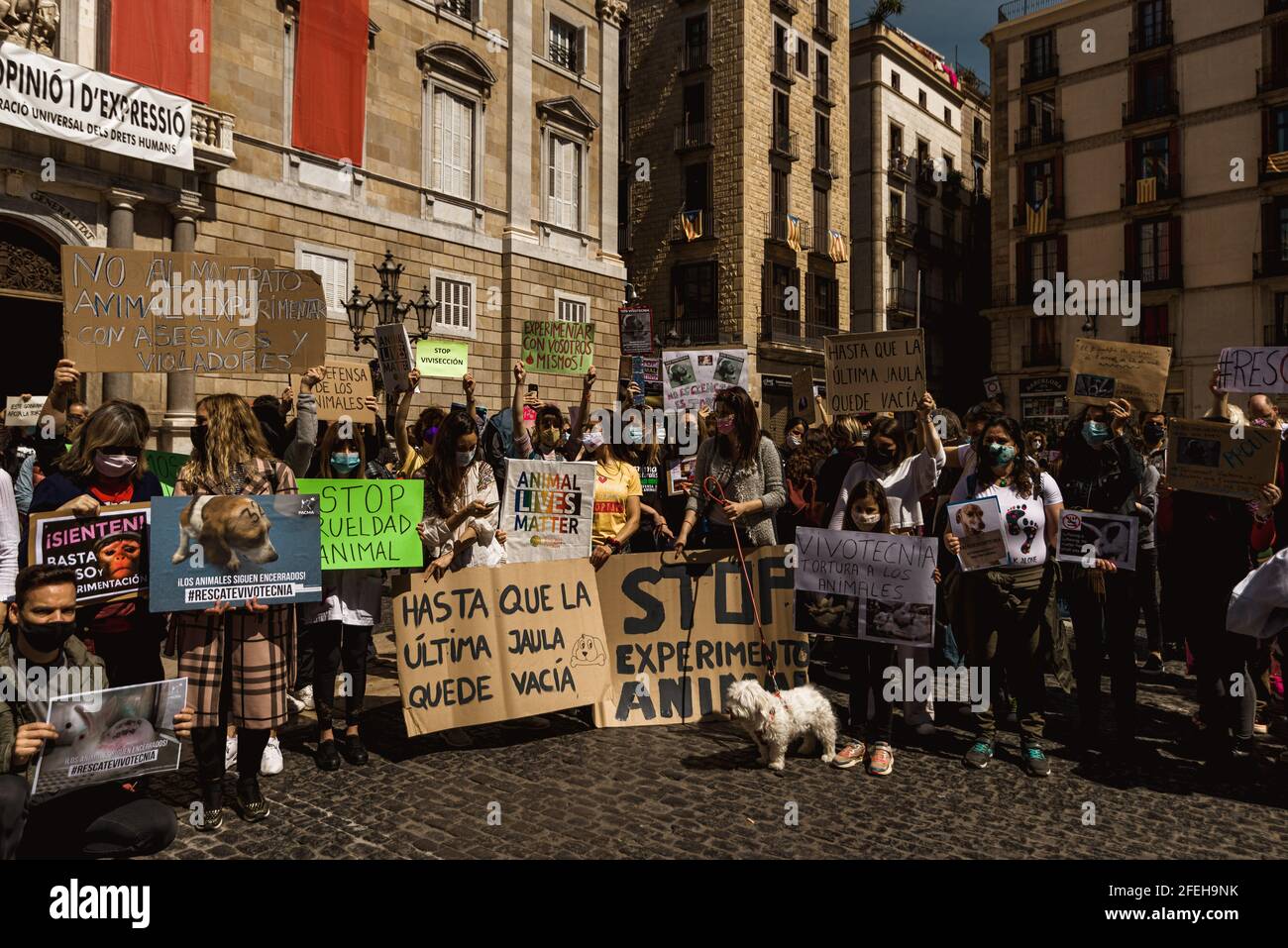 Barcellona, Spagna. 24 Apr 2021. Gli attivisti hanno dei cartelli che chiedono la chiusura del laboratorio di sperimentazione animale 'vivotecnia' durante una protesta per i diritti degli animali in scena a Barcellona Credit: Matthias Oesterle/Alamy Live News Foto Stock
