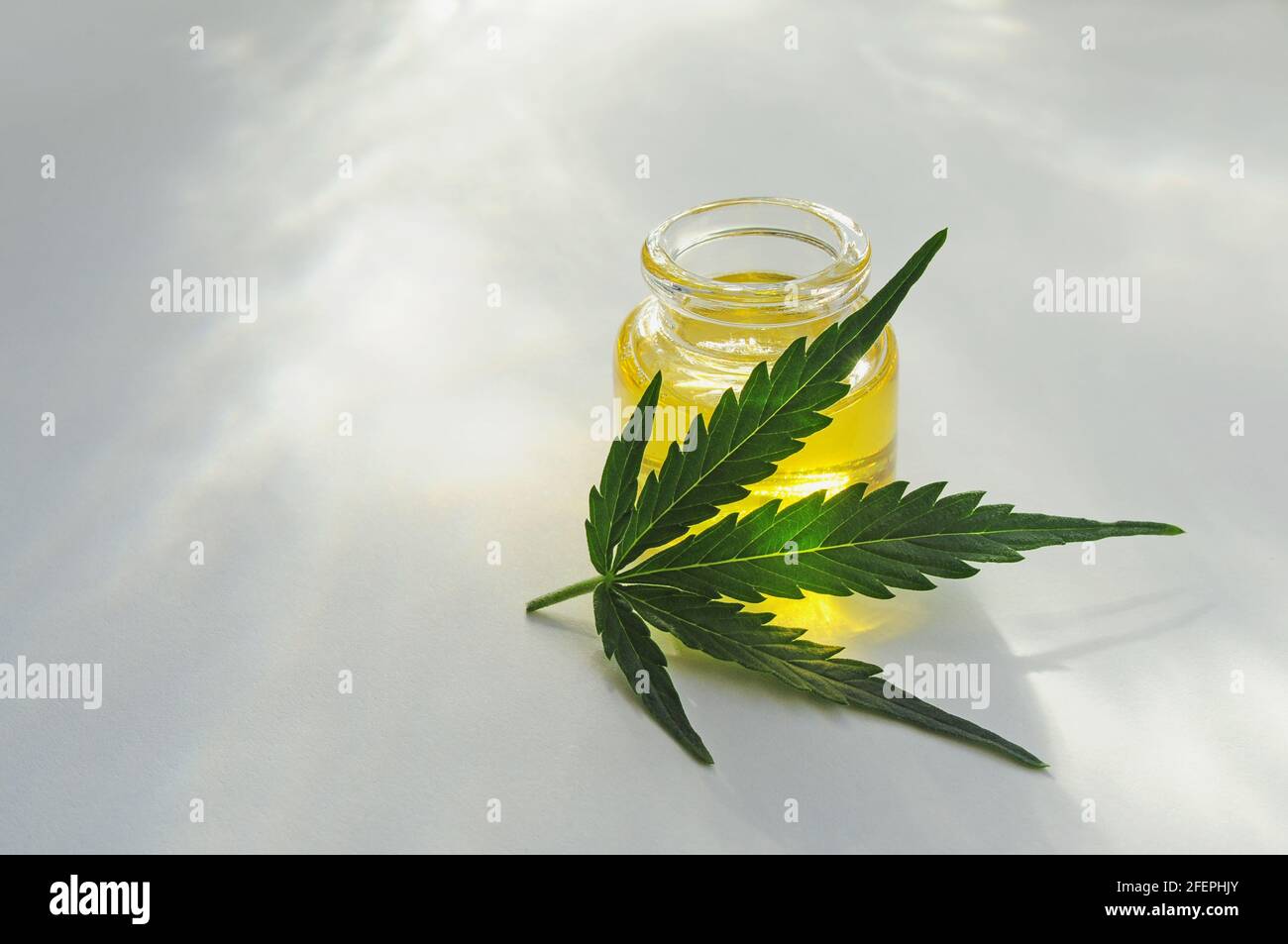 Olio di marijuana, cbd ricreazione. Primo piano su foglie di cannabis fresca, isolate su sfondo bianco. Relax a casa, terapia del passatempo. Medicina alternativa. Foto Stock