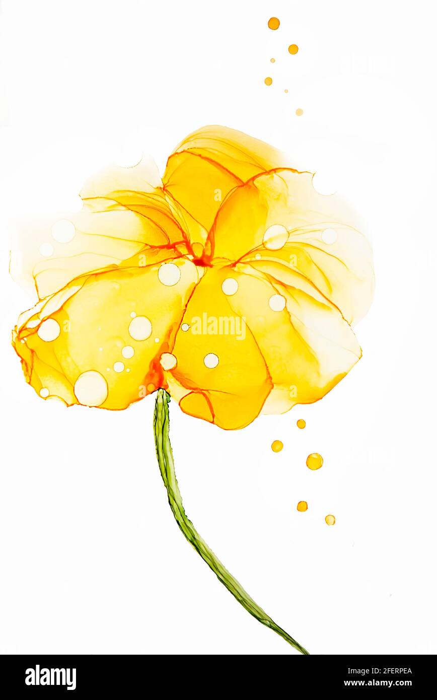 Abstract alcol inchiostro arte disegno fiore giallo Foto Stock