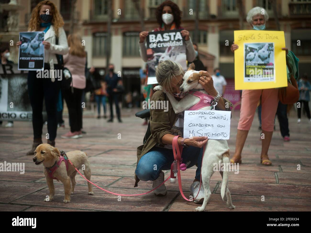 Malaga, Spagna. 24 Apr 2021. Un manifestante ha visto abbracciare il suo cane mentre i colleghi tengono cartelli che esprimono la loro opinione durante la dimostrazione.diversi attivisti per i diritti animali hanno organizzato una protesta a Plaza de la Constitucion per denunciare la crudeltà animale durante esperimenti di laboratorio, dopo crudeltà libera organizzazione internazionale ha pubblicato un'indagine che mostra crudele sperimentazione con i cani, Conigli e altri animali nei laboratori di Vivotecnia di Madrid. Credit: SOPA Images Limited/Alamy Live News Foto Stock