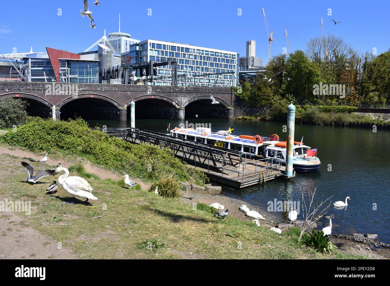 Taff's Mead Embankment Aquabus stop, Cardiff, Galles Foto Stock