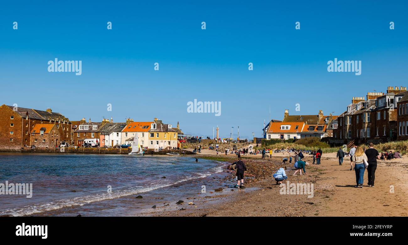 North Berwick, East Lothian, Scozia, Regno Unito, 24 aprile 2021. Regno Unito Meteo: Sole al mare: Il tempo soleggiato porta la folla nella città di mare nonostante la fresca brezza che soffia dal Mare del Nord mentre la gente gode l'allentamento delle restrizioni di blocco. Nella foto: La gente sulla spiaggia ovest dove è un po 'più al riparo dal vento. Foto Stock