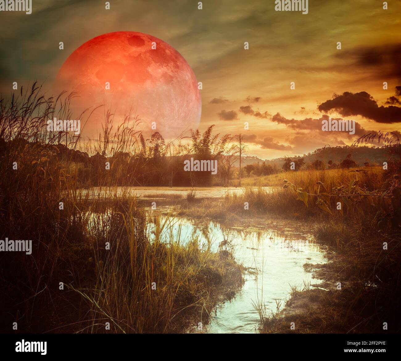 Paesaggio di notte nel lago forestale con nebbia E oscurità cielo super sangue luna in background.The primo piano è un piccolo flusso che scorre da Foto Stock