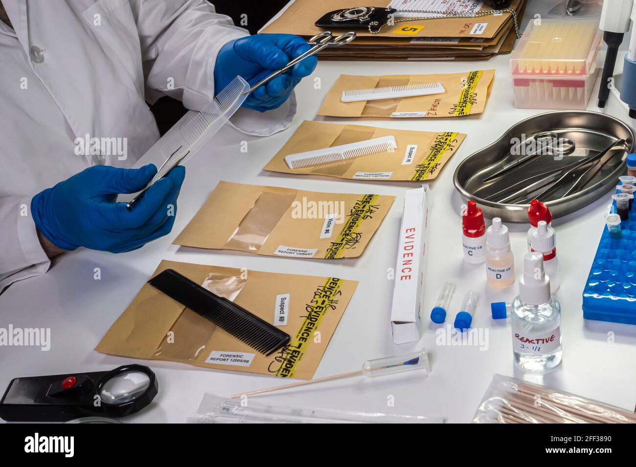 Polizia specializzata prendere capelli pettini per prendere il DNA dalla vittima di omicidio, immagine concettuale Foto Stock