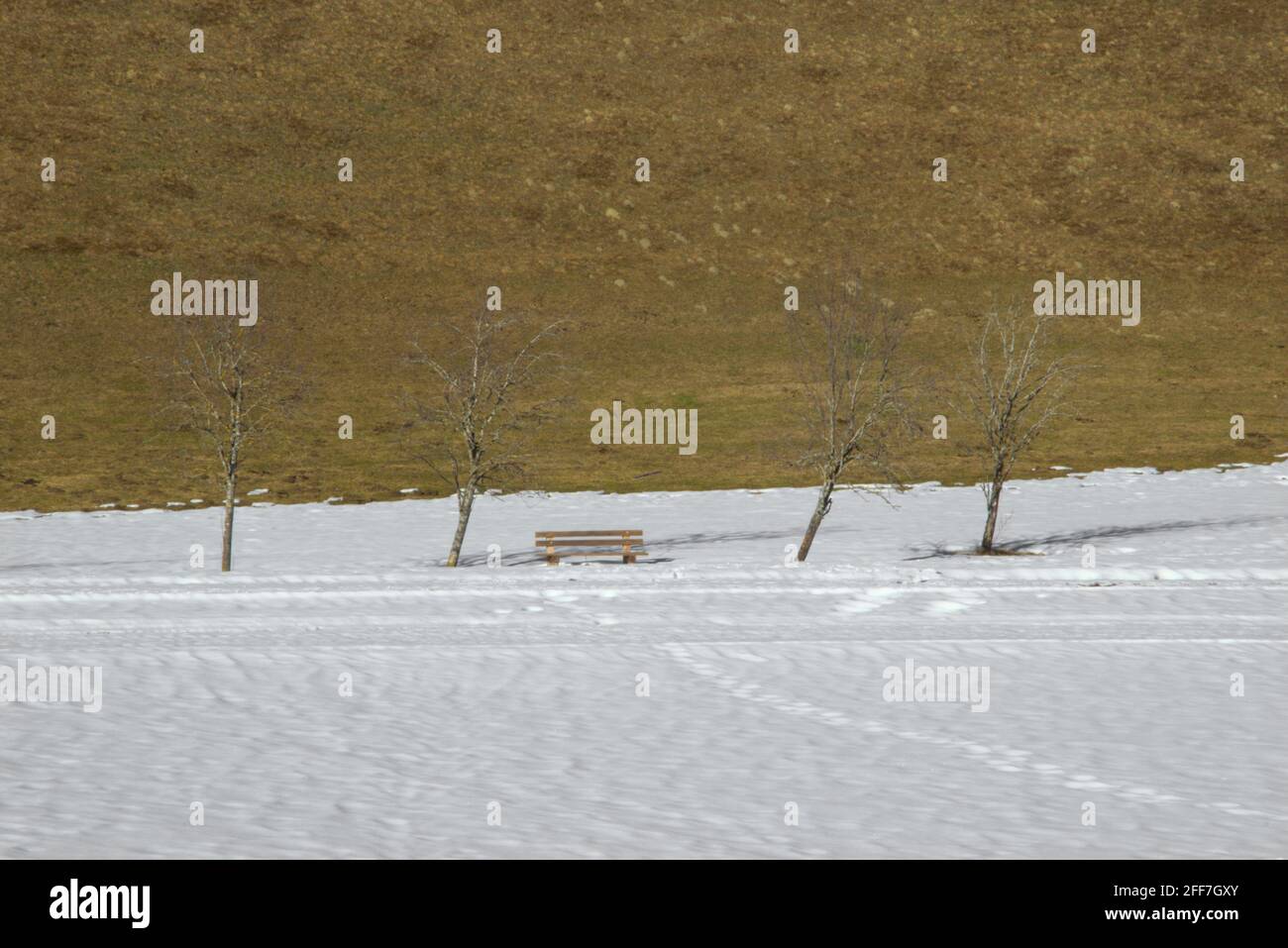Scena di una panchina solitaria in primavera - neve, erba e boschi Foto Stock