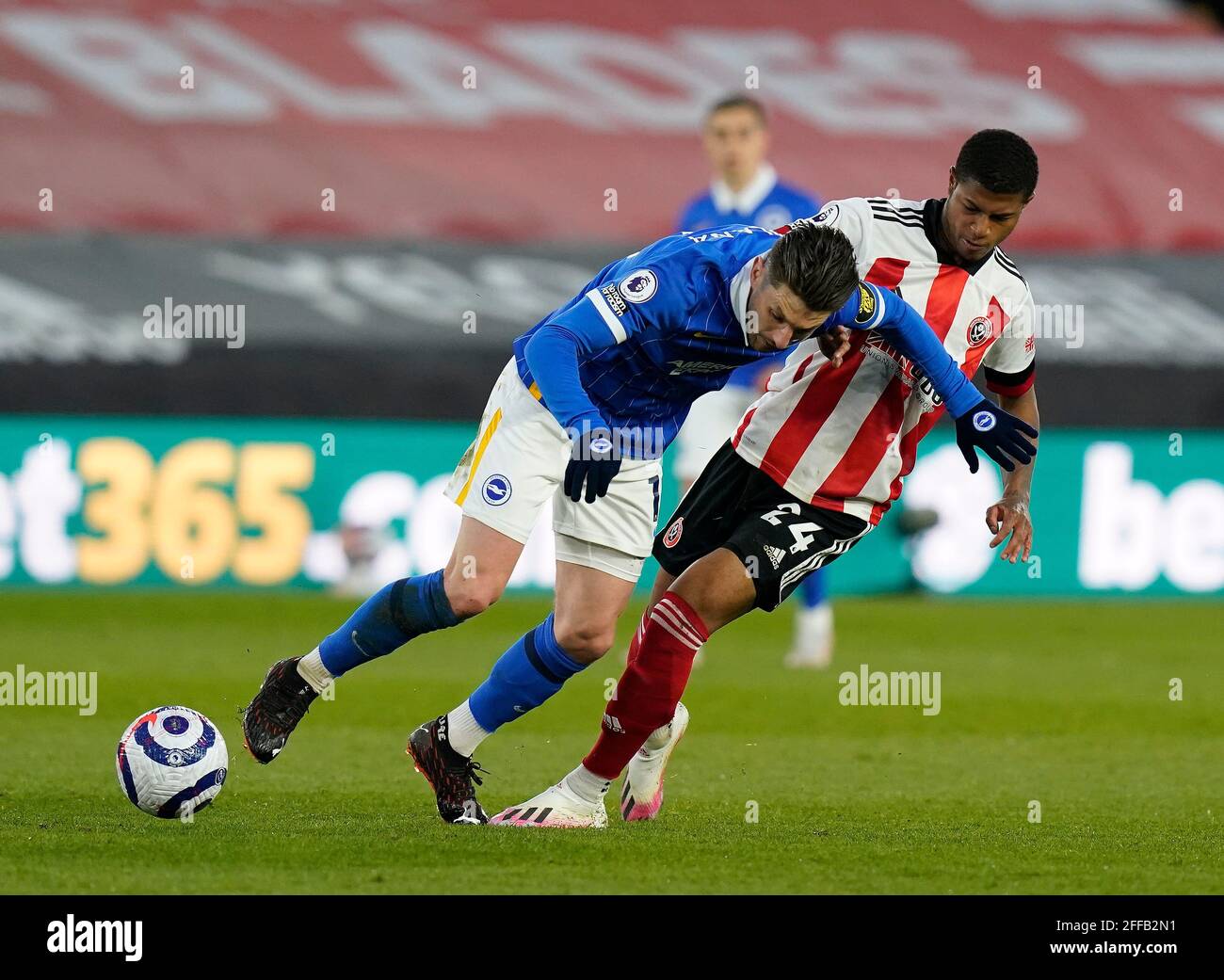 Sheffield, Inghilterra, 24 aprile 2021. Rhian Brewster di Sheffield Utd si batte con Adam Lallana di Brighton durante la partita della Premier League a Bramall Lane, Sheffield. L'immagine di credito dovrebbe essere: Andrew Yates / Sportimage Foto Stock