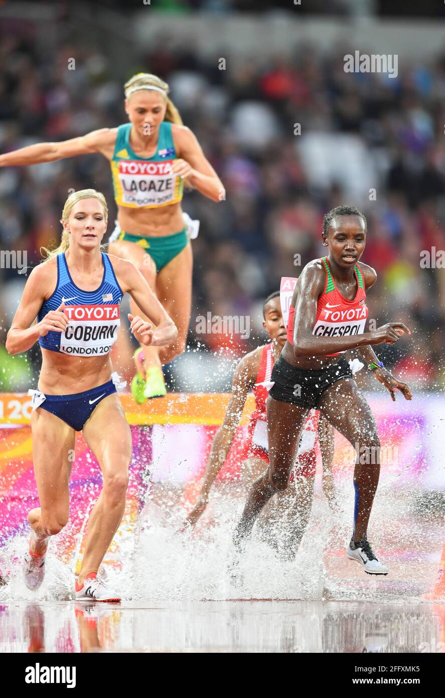 3000 metri donne siepi immagini e fotografie stock ad alta risoluzione