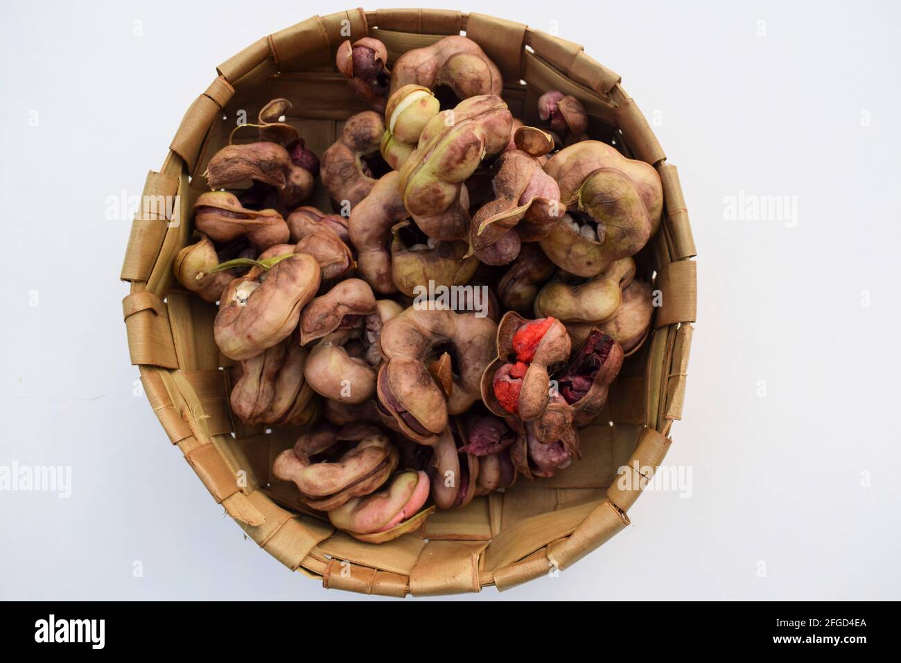 Manila tamaraind conosciuto anche come chichbila o jalebi della giungla, frutti crudi rosa selvatici asiatici o africani con semi. Tamarindo rotondo come frutta. Foto Stock