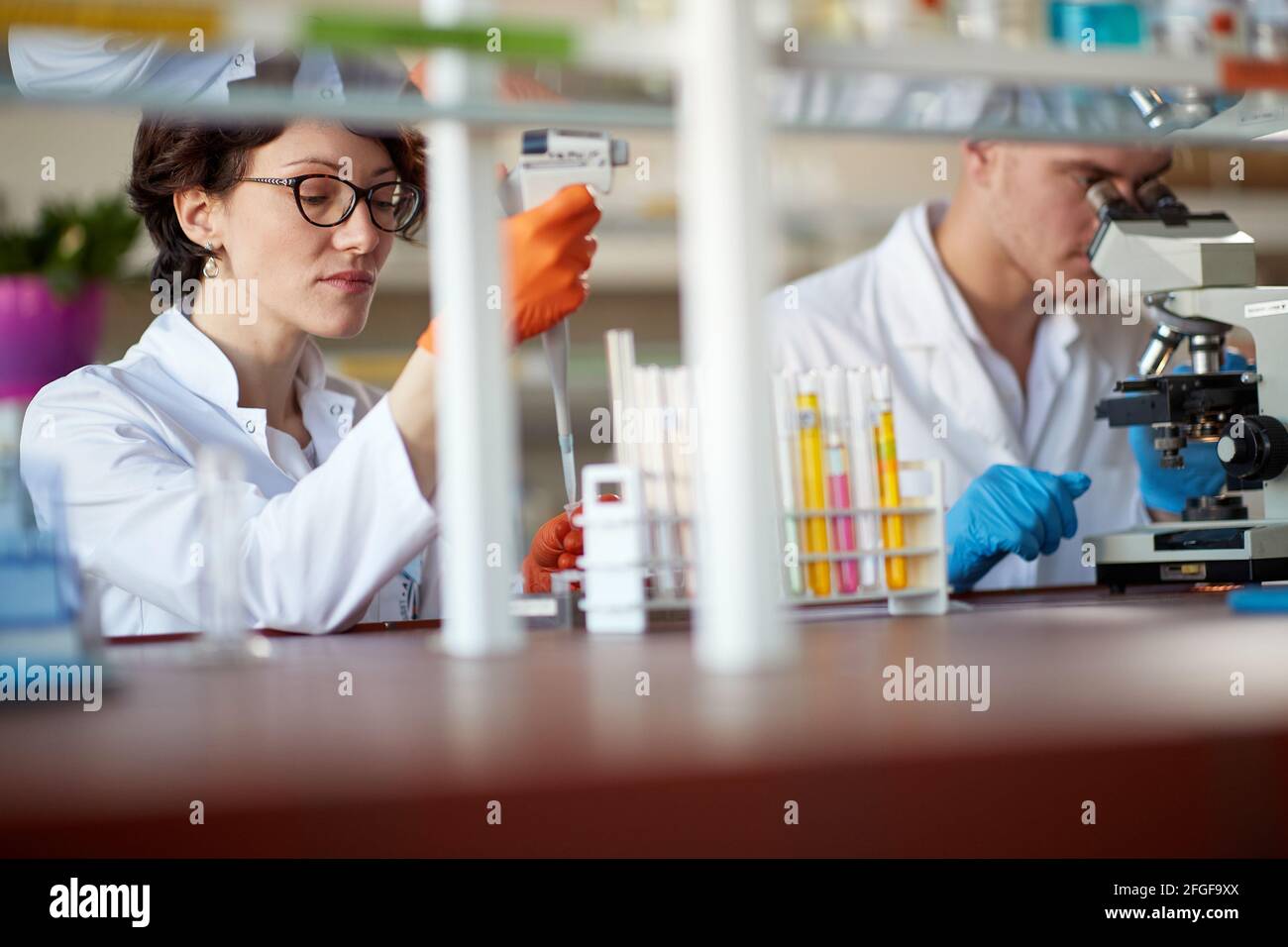 I giovani studenti di chimica pipettano e microscopano in un laboratorio in un'atmosfera di lavoro. Scienza, chimica, laboratorio, persone Foto Stock