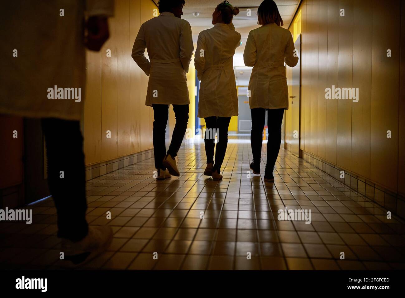 I giovani studenti di chimica si divertono a chiacchierare nel corridoio buio e spettrale dell'edificio universitario mentre si fanno una pausa. Istituzione, corridoio, università, Foto Stock