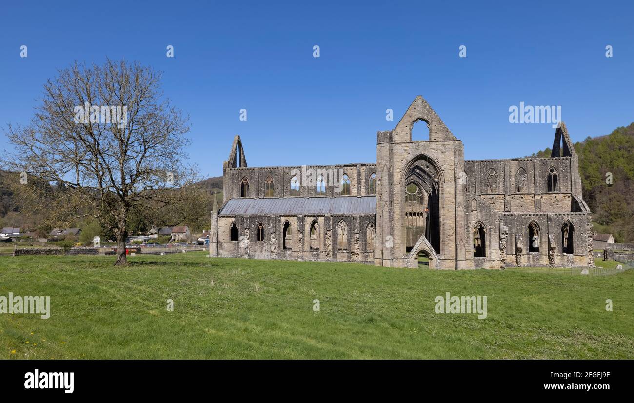 Tintern Abbey nella valle del Wye, Monmouthshire, Wales, Regno Unito Foto Stock