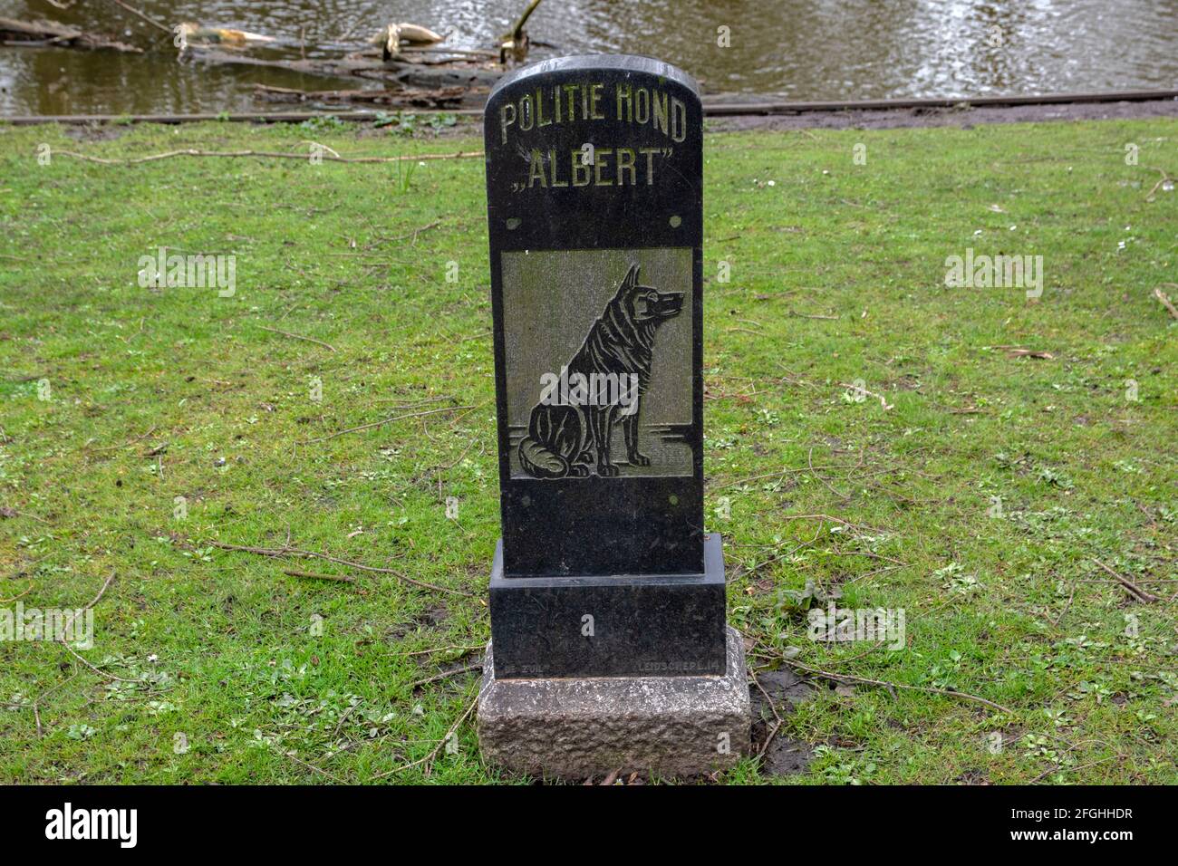 Monumento polizia cane Albert ad Amsterdam Paesi Bassi 18-3-2020 Foto Stock