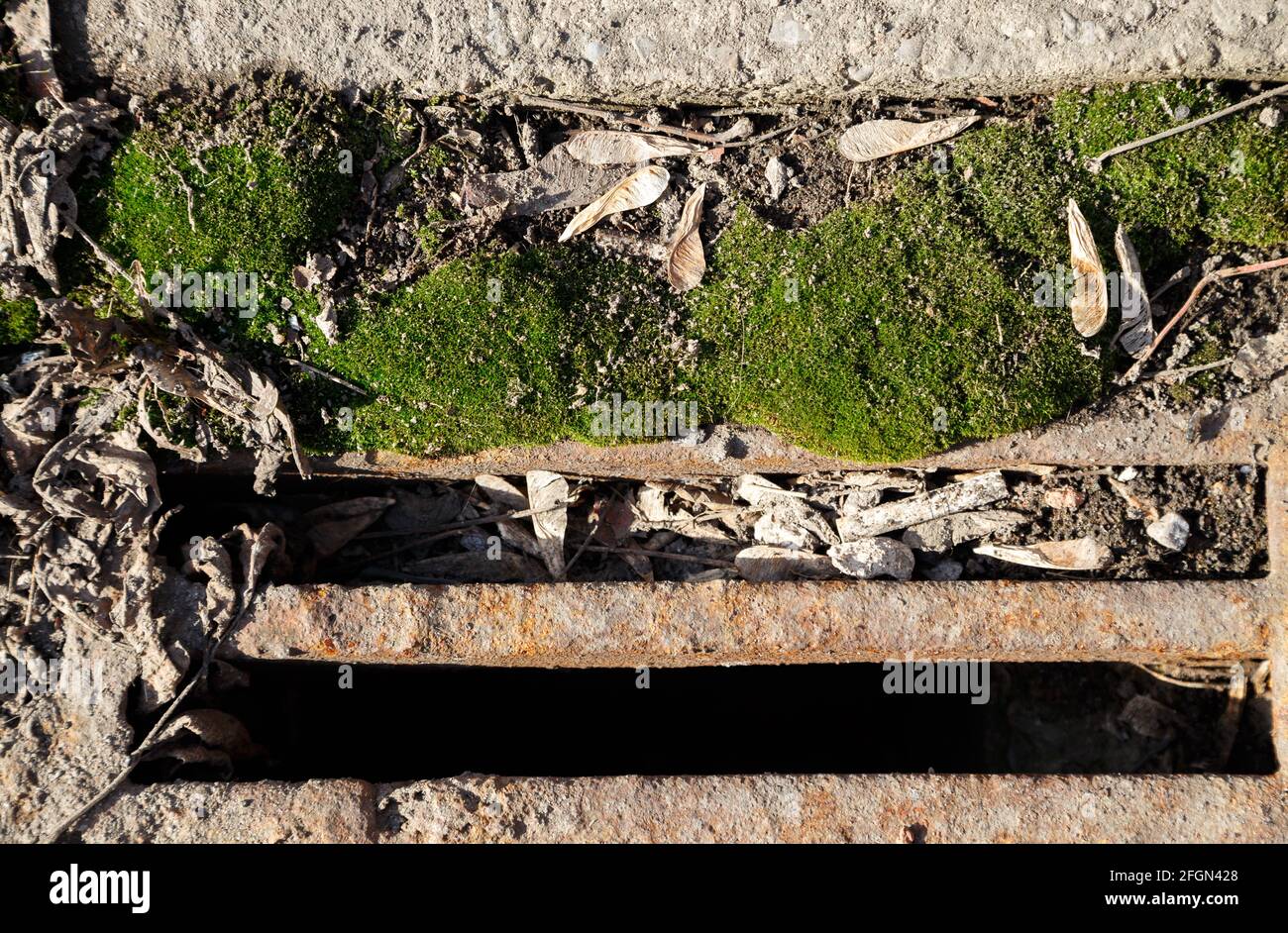 Foto del vecchio sistema fognario con muschio Foto Stock