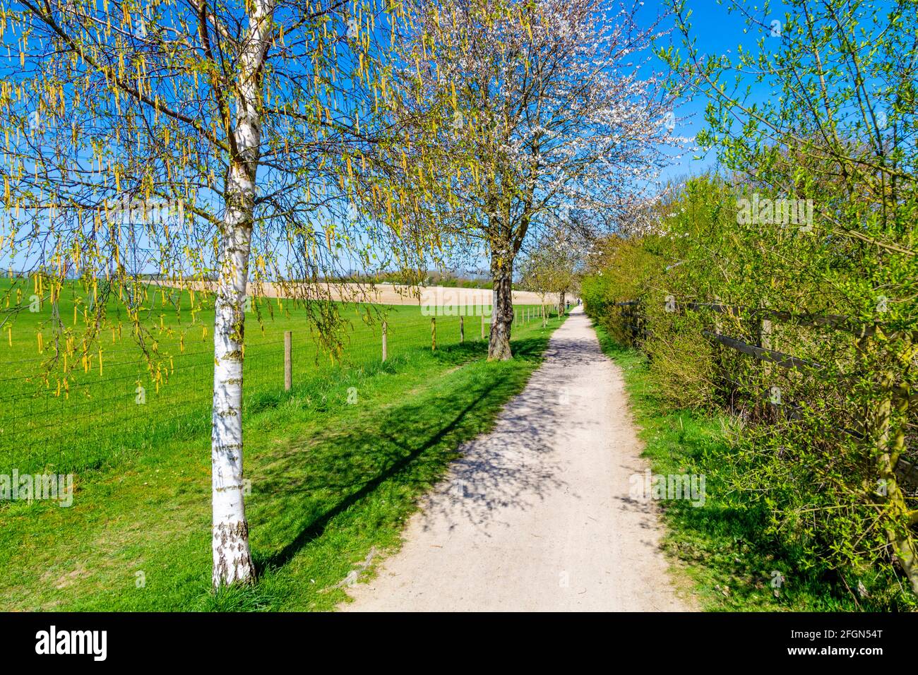 Pista ciclabile lungo i campi in campagna, escursioni e National Cycling Network Route C12 tra Baldock e Letchworth, Hertfordshire, Regno Unito Foto Stock