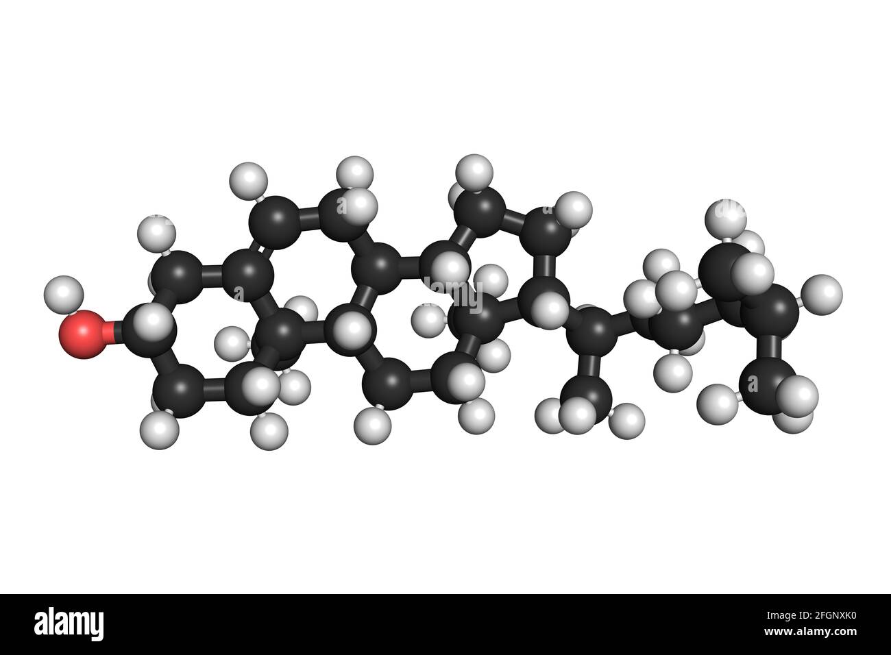 La molecola di colesterolo lipide organica 3D rende la struttura chimica Foto Stock