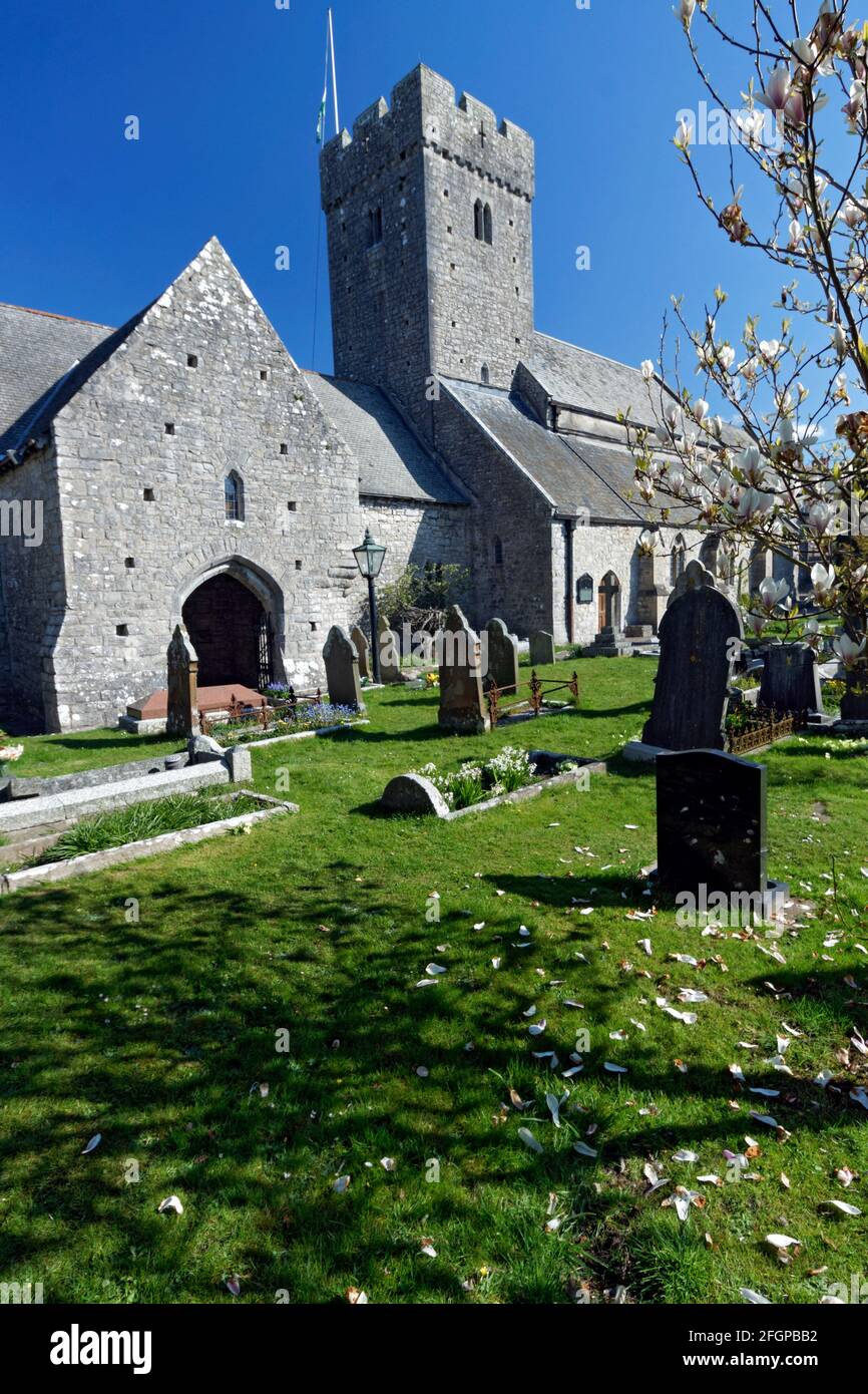 St Illtyds Chiesa, Llantwit Major, Vale of Glamorgan, Galles del Sud. Foto Stock