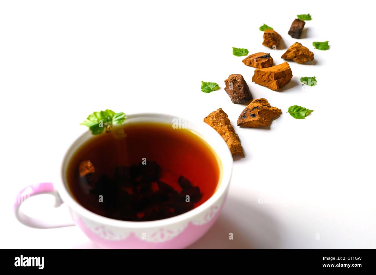 Tazza di tè di funghi chaga di betulla e chaga frantumata pezzi di funghi per la preparazione del tè isolati su sfondo bianco Foto Stock