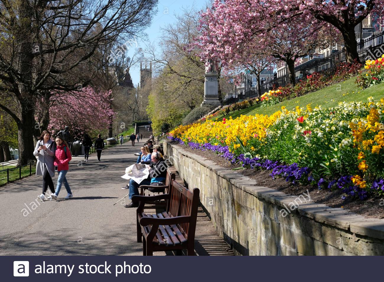 Edimburgo, Scozia, Regno Unito. 25 Aprile 2021. Primavera in piena fioritura in West Princes Street Gardens in una giornata gloriosa e calda e soleggiata. Credit: Craig Brown/Alamy Live News Foto Stock