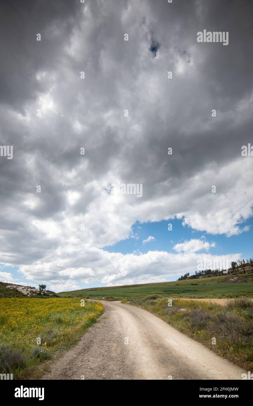 Campo di prateria in primavera contro il cielo torbido nuvoloso. Strada rurale vuota Foto Stock