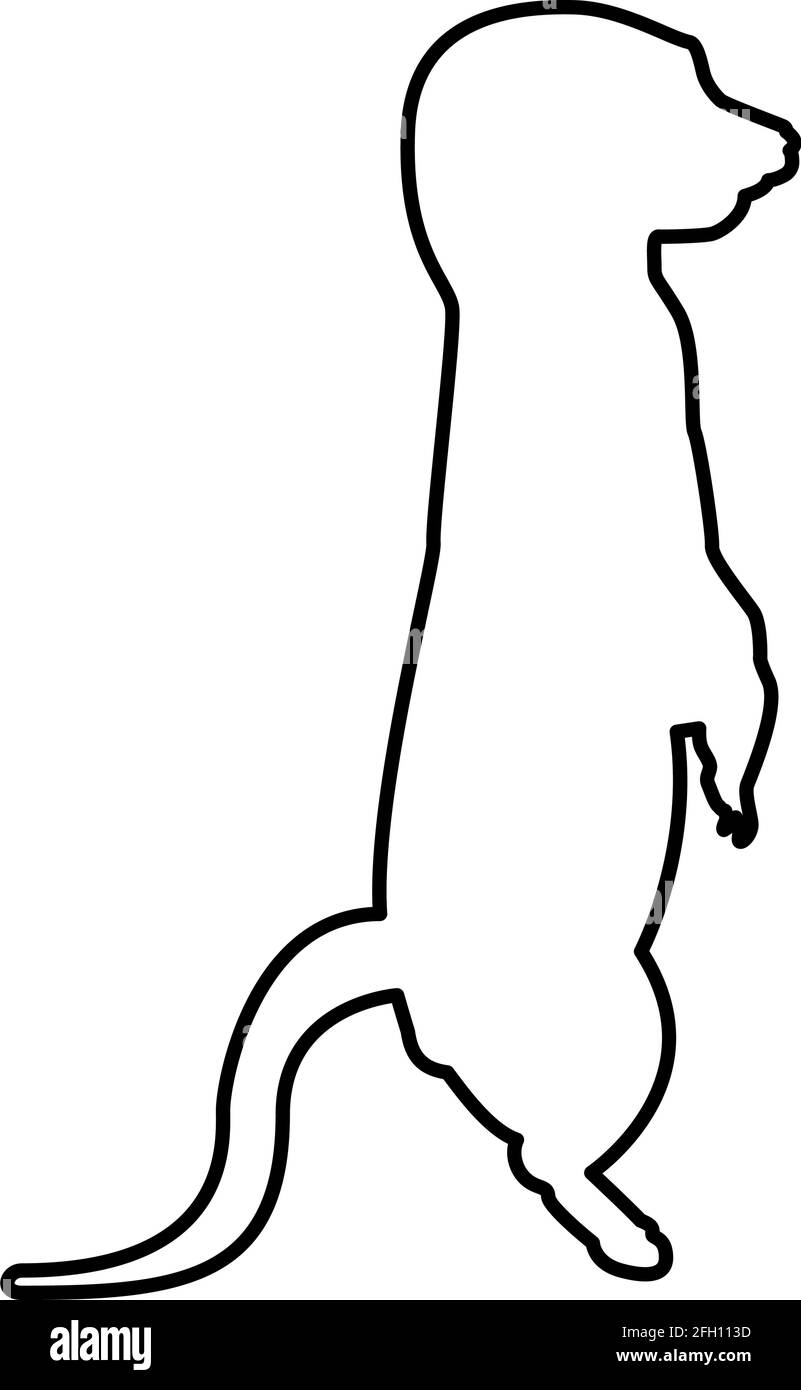 Meerkat in posa Suricata Suricatta contorno contorno nero vettore colore illustrazione stile piatto immagine semplice Illustrazione Vettoriale