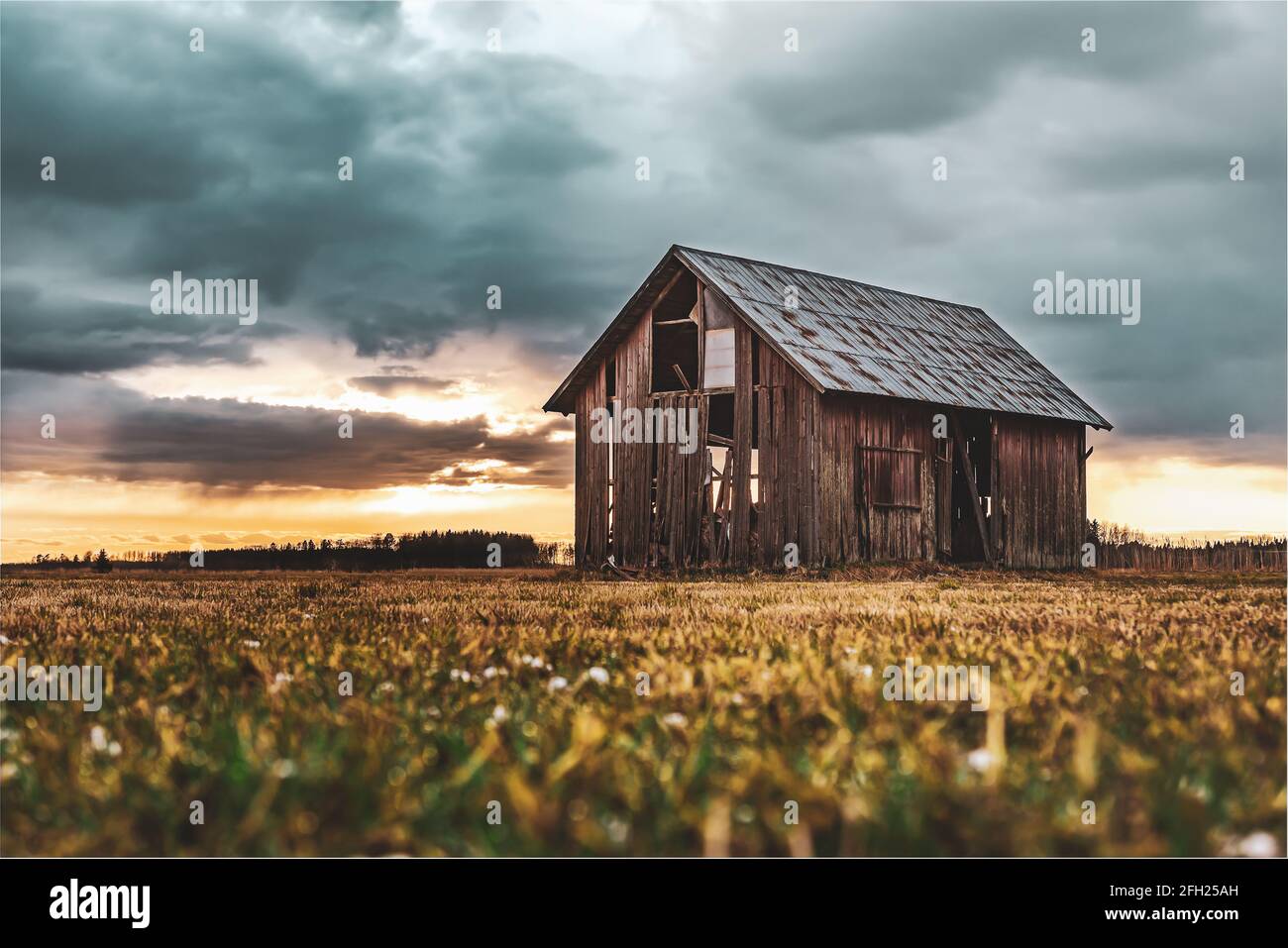 Vecchio fienile in piedi su terreni agricoli aperti durante il tramonto uno tardi Sera di aprile Foto Stock