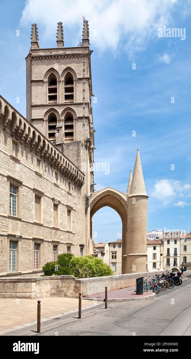 Montpellier, Francia - 09 2019 giugno: Turisti a piedi intorno alla Cattedrale di Montpellier di San Pietro (francese: Cathédrale Saint-Pierre de Montpellier) Foto Stock