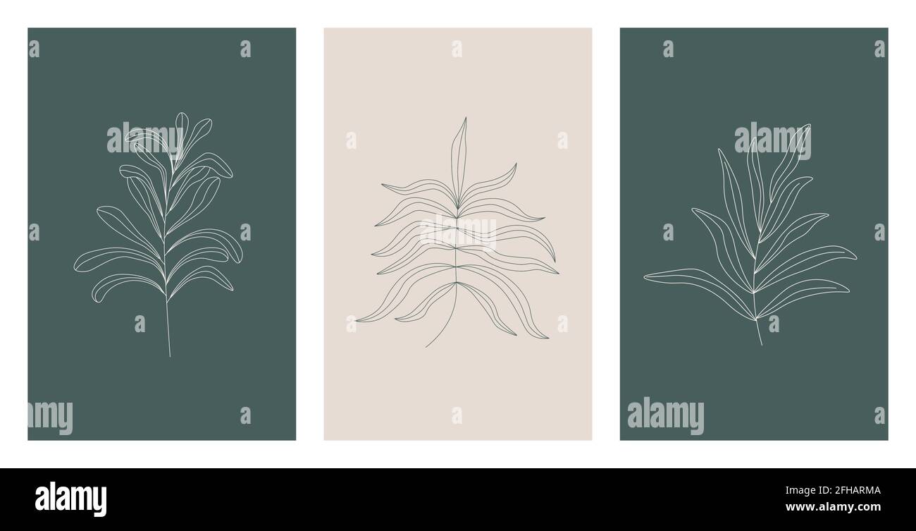 Set vettoriale di tre poster botanici in colori verde e grigio. Linea d'arte trendy dai toni della terra in stile minimalista. Progettazione per la stampa Illustrazione Vettoriale