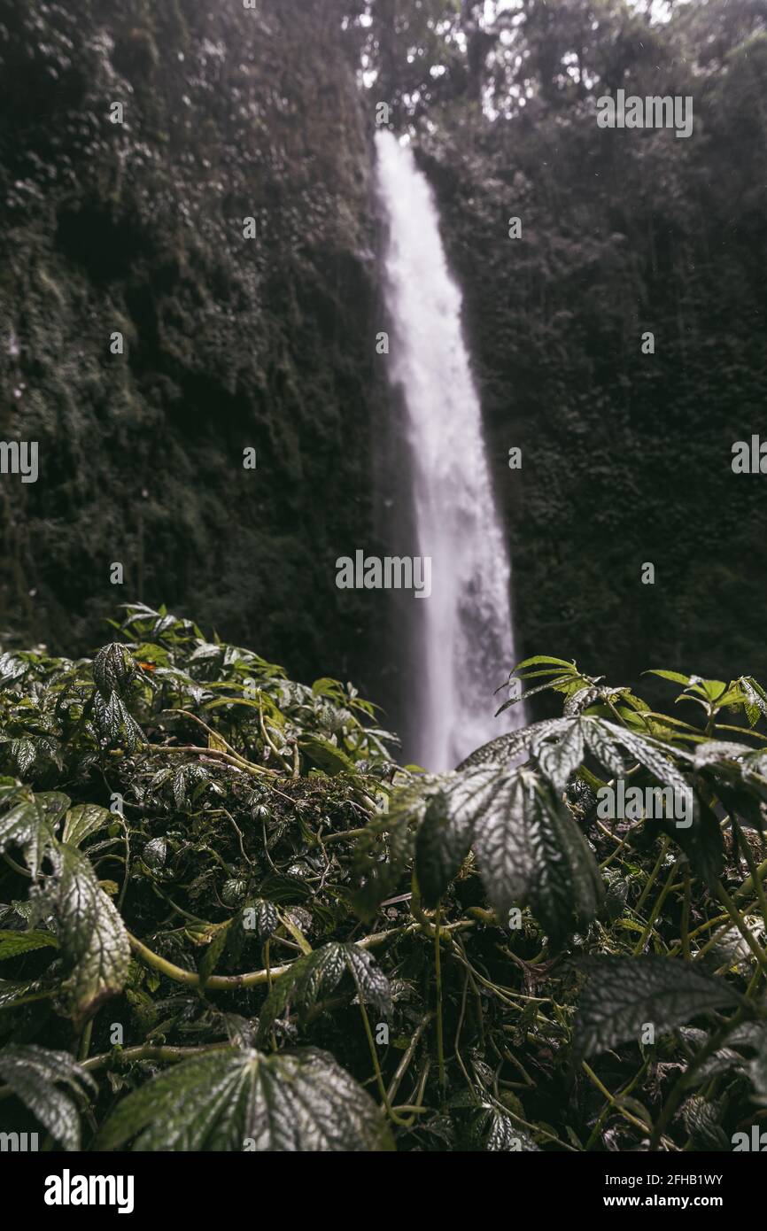 Incredibile vista della potente cascata che cade dalla ruvida scogliera rigida nel parco tropicale Foto Stock