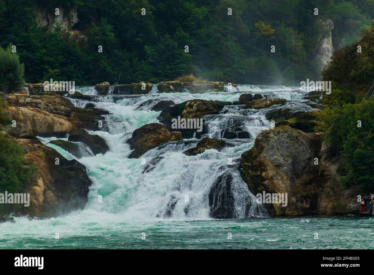 Primo piano delle cascate del Reno, Svizzera Foto Stock