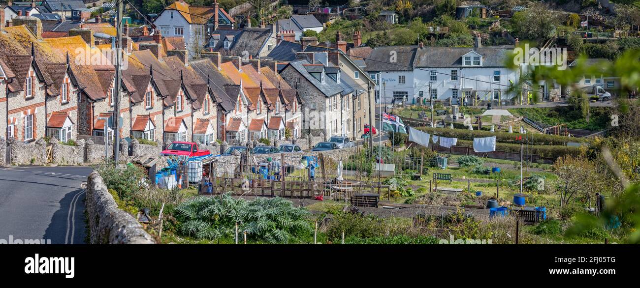 Vista panoramica che guarda giù fila di affascinanti case a schiera sulla collina che scende a Beer Beach con gli allotti di fronte a Beer, Devon, UK su 19 Apri Foto Stock