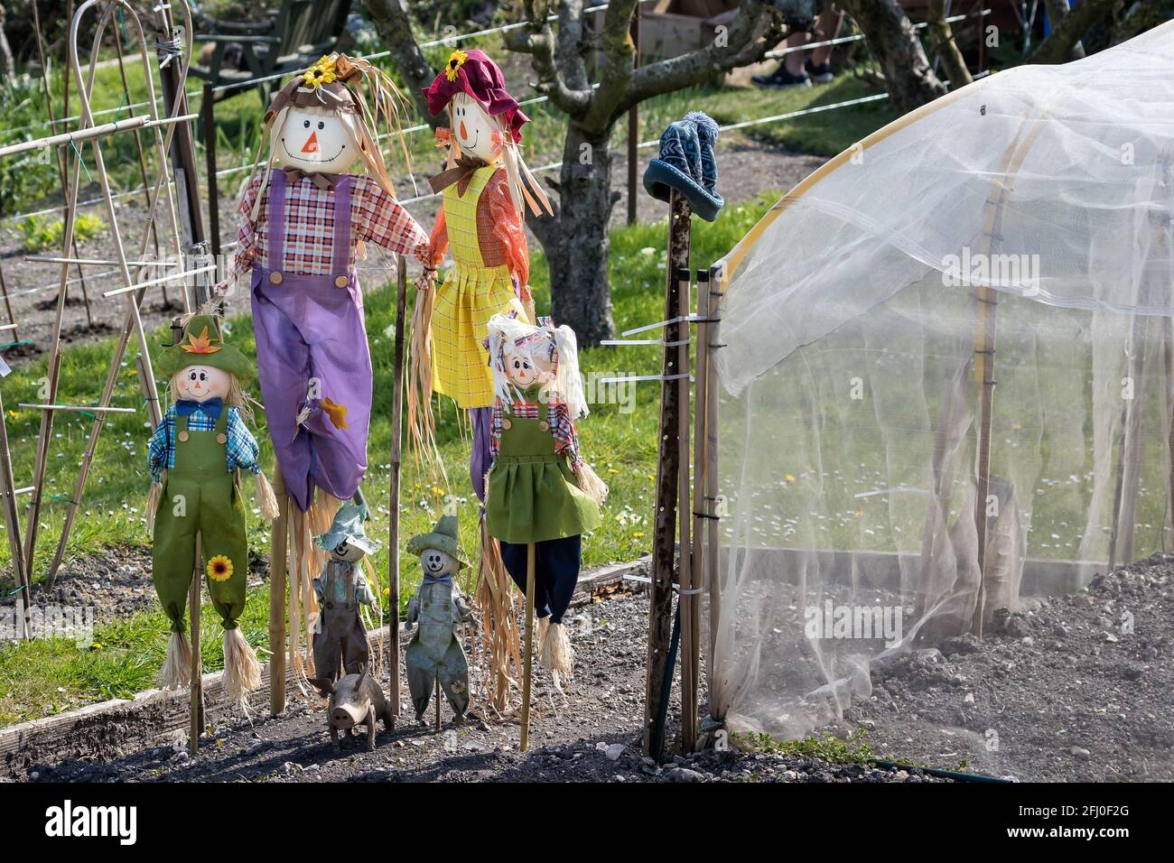 Gruppo familiare di paurrows colorati in assegnazione Devon Foto Stock