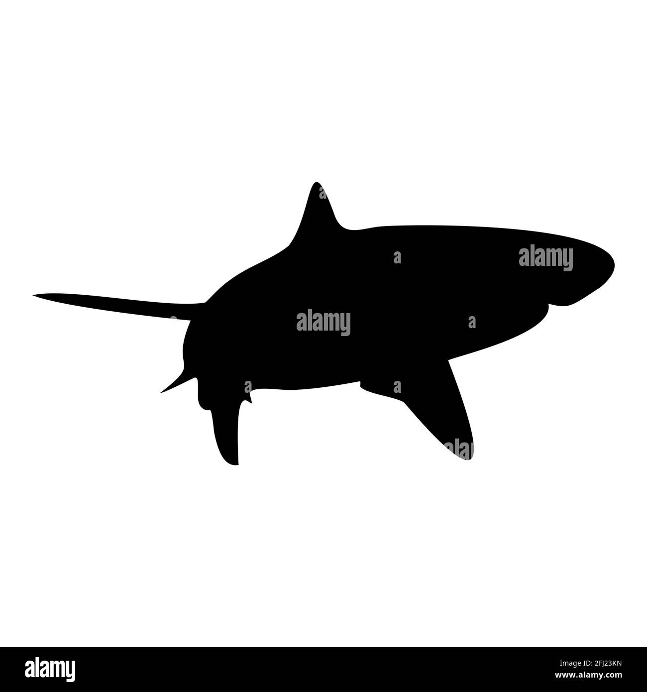 Silhouette nera isolata con squalo. Vista laterale. Animale marino. Sfondo bianco. Clipart dell'illustrazione vettoriale. Tigre o squalo blu. Illustrazione Vettoriale