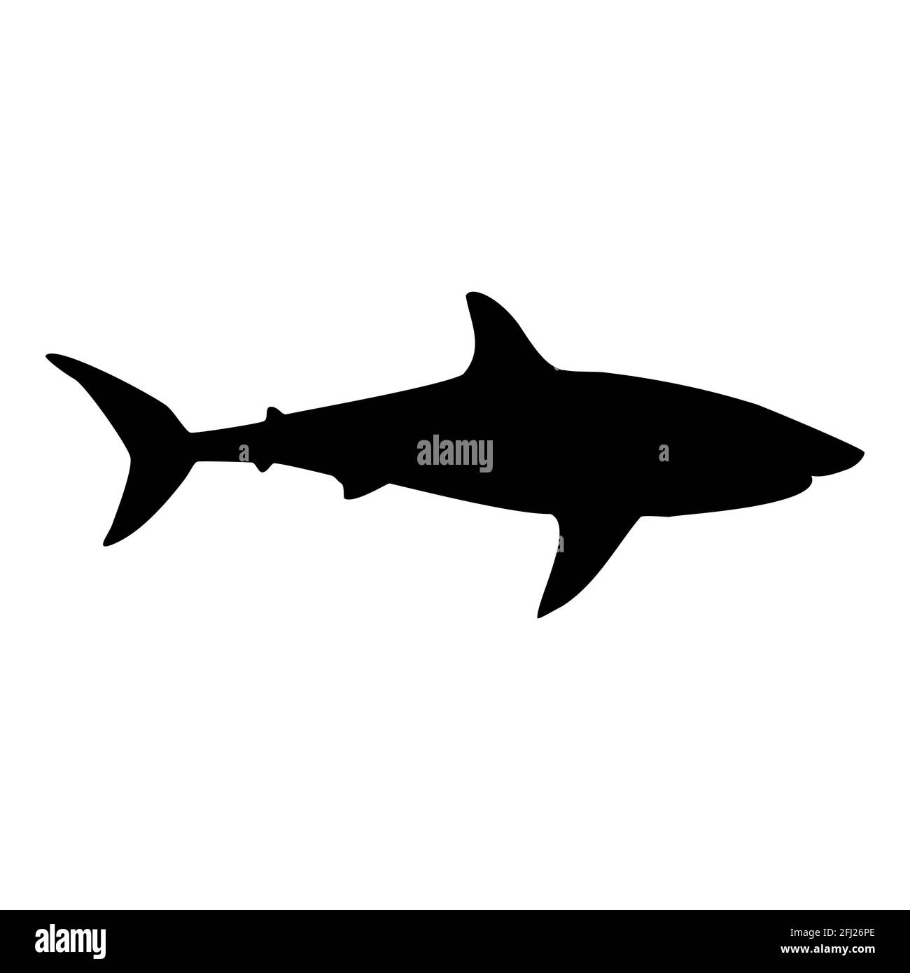 Silhouette nera isolata con squalo. Vista laterale. Animale marino. Sfondo bianco. Clipart dell'illustrazione vettoriale. Tigre o squalo blu. Illustrazione Vettoriale