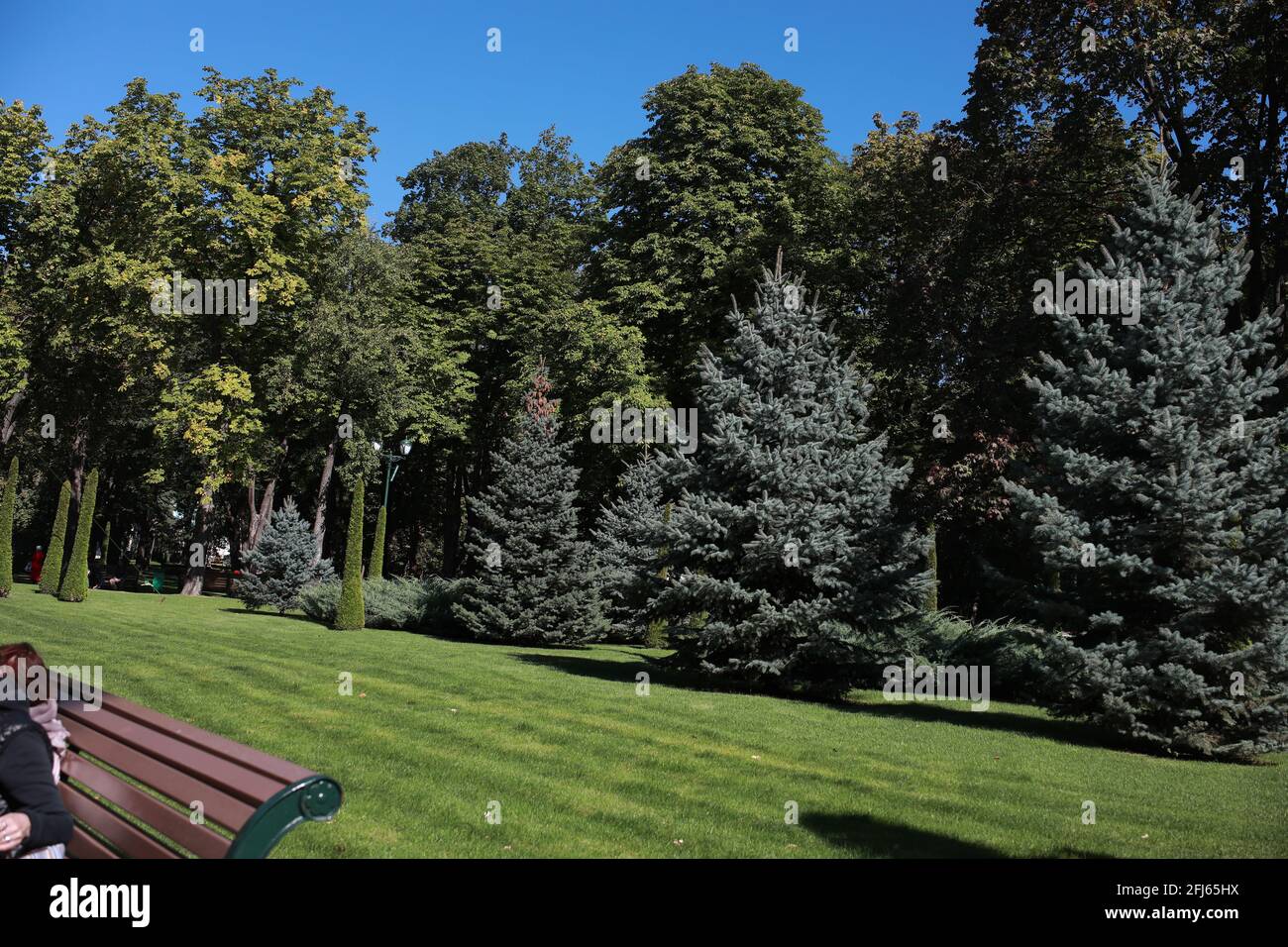 Una persona seduta su una panchina in un parco Foto Stock