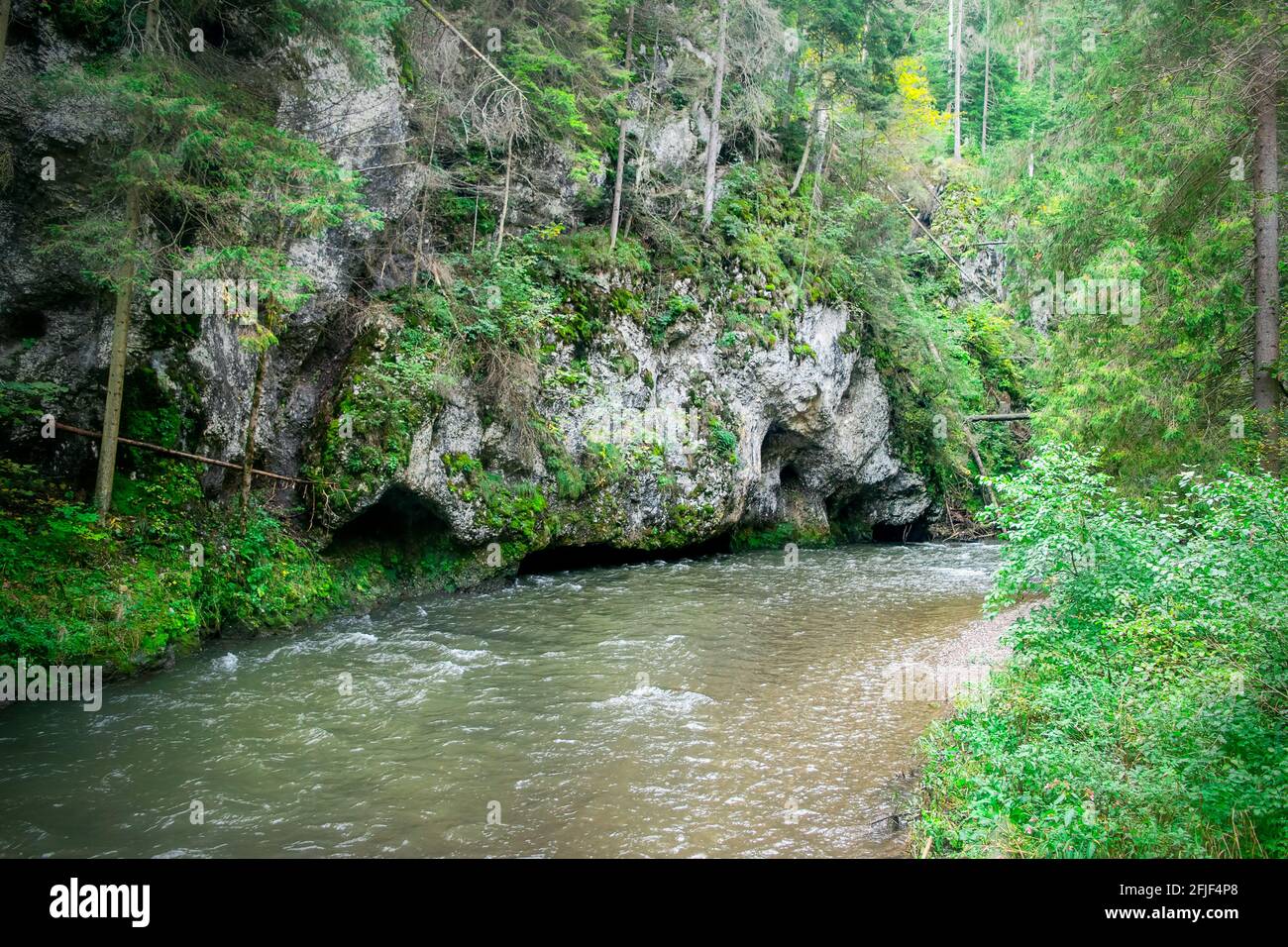 Fiume Hornad nel paradiso slovacco. Foto Stock