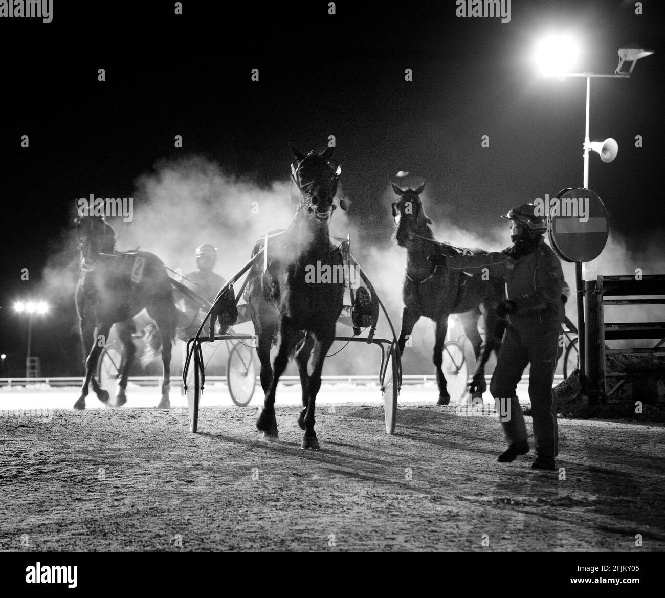 Trotto cavalli sulla pista da trotto di Mantorp. Foto Stock