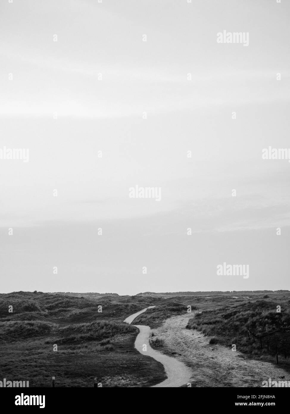 Paesaggio di dune olandesi in bianco e nero su Ameland, una delle isole Wadden nel nord dei Paesi Bassi Foto Stock