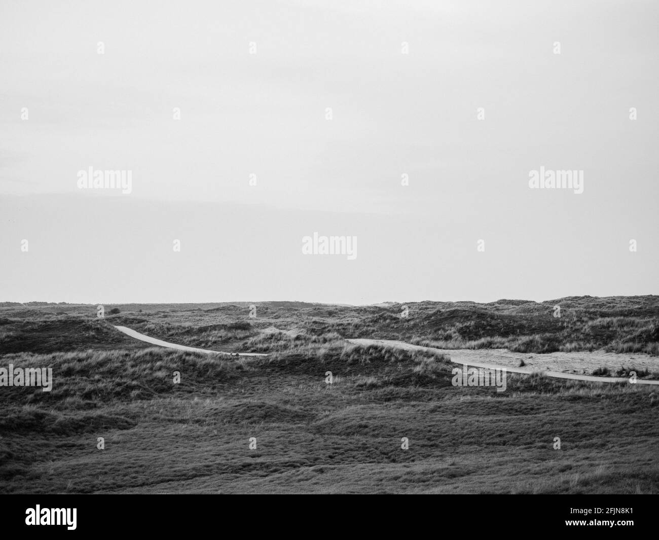Paesaggio di dune olandesi in bianco e nero su Ameland, una delle isole Wadden nel nord dei Paesi Bassi Foto Stock