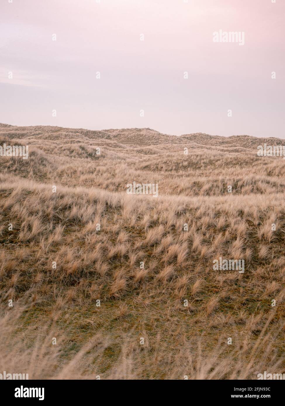 Dune di Ameland, isole Wadden nel nord dei Paesi Bassi. Vibes wanderlust pastello costieri. Foto Stock
