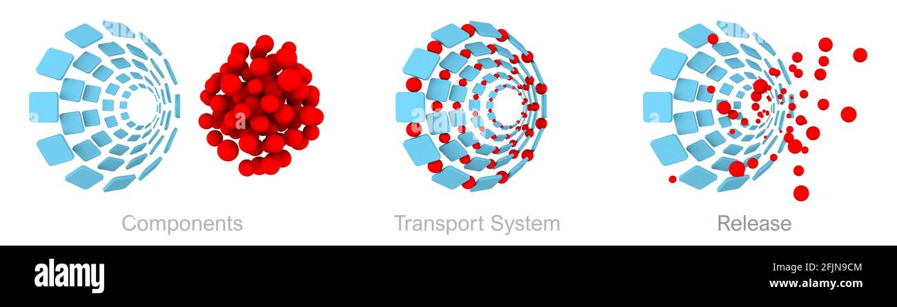 Sistema di trasporto isomaltoside del ferro. Un nuovo oligosaccaride di ferro per via endovenosa per il trattamento della carenza di ferro in pazienti con malattie croniche Foto Stock