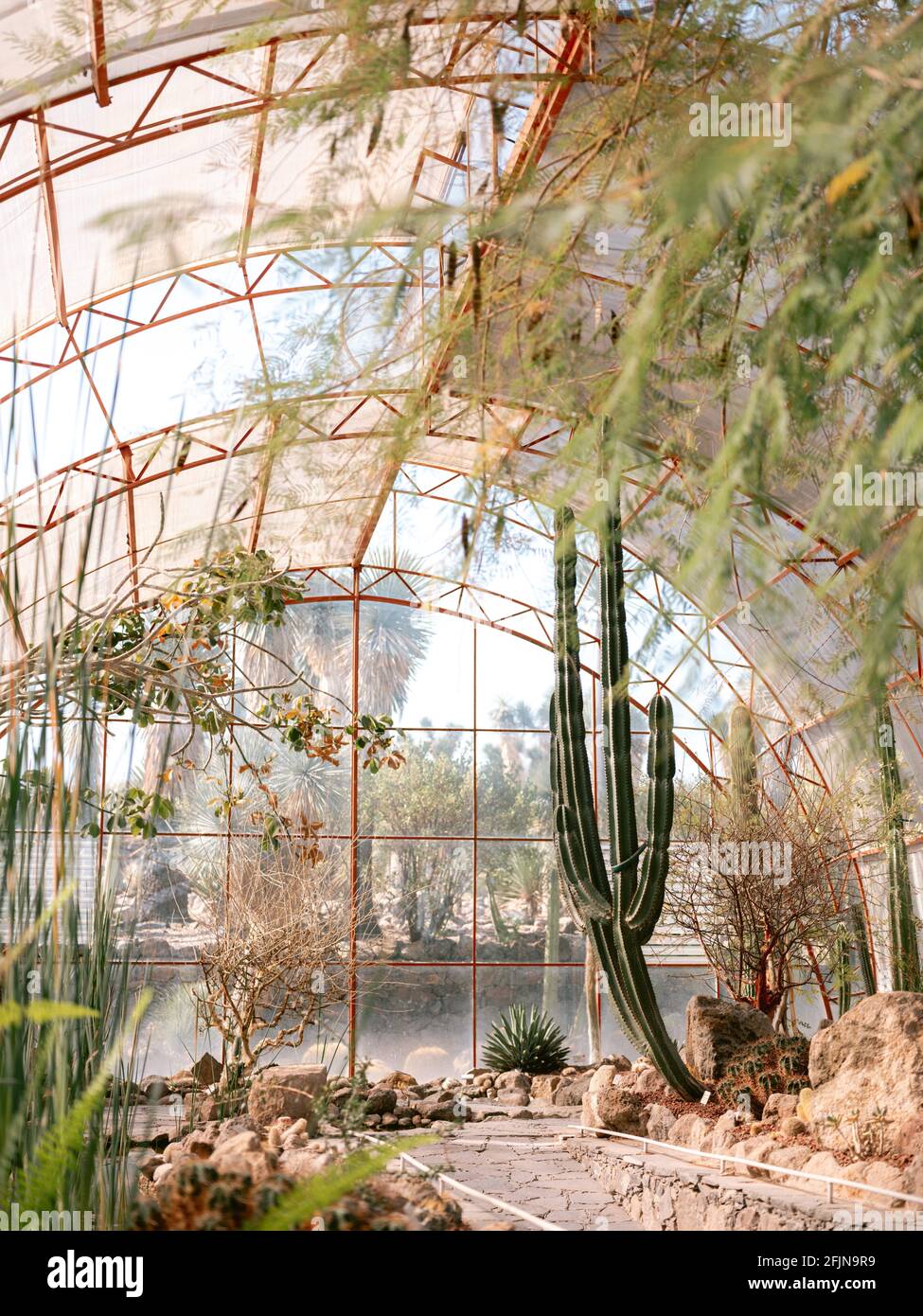 Giardino botanico di San Miguel de Allende in Messico. Cactus, piante  tropicali e un clima desertico. Bella natura e scena di viaggio Foto stock  - Alamy