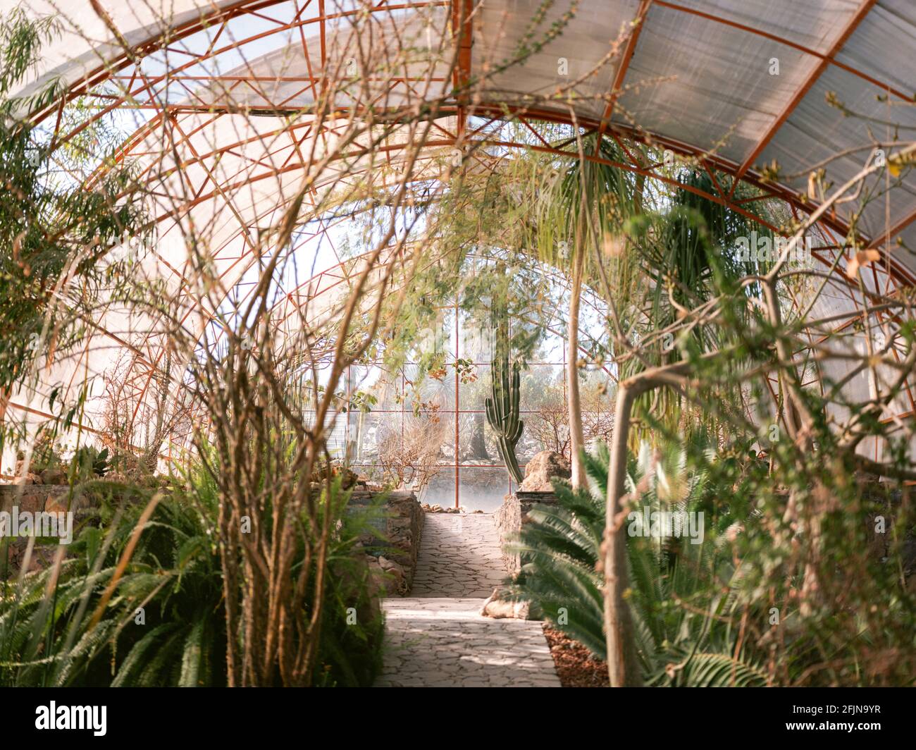 Giardino botanico di San Miguel de Allende in Messico. Cactus, piante tropicali e un clima desertico. Bella natura e scena di viaggio. Foto Stock