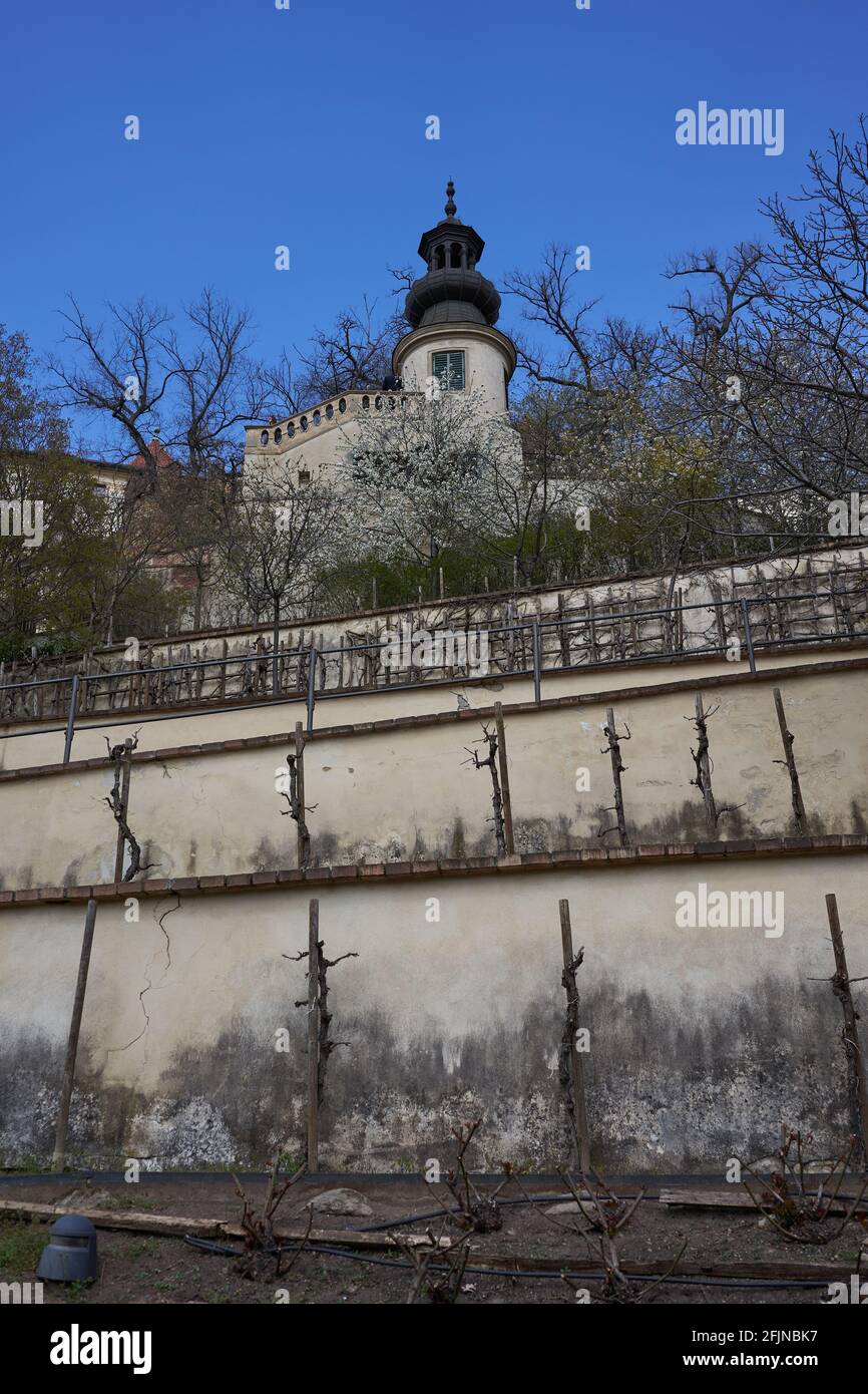 Praga, Repubblica Ceca - 23 aprile 2021 - il Grande Giardino di Fürstenberg in un pomeriggio di sole primavera vicino al Castello di Praga. Foto Stock