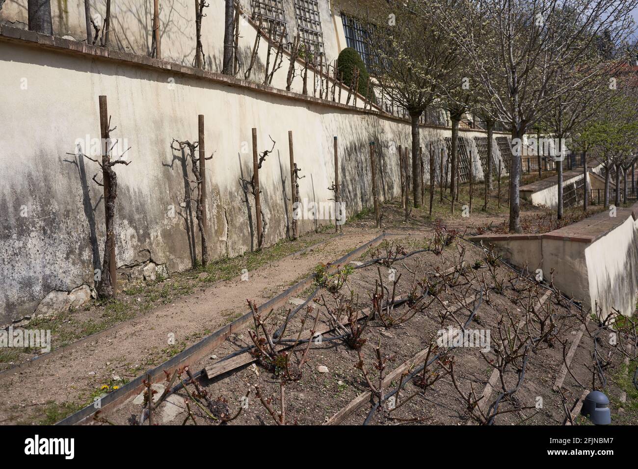 Praga, Repubblica Ceca - 23 aprile 2021 - il Grande Giardino di Fürstenberg in un pomeriggio di sole primavera vicino al Castello di Praga. Foto Stock