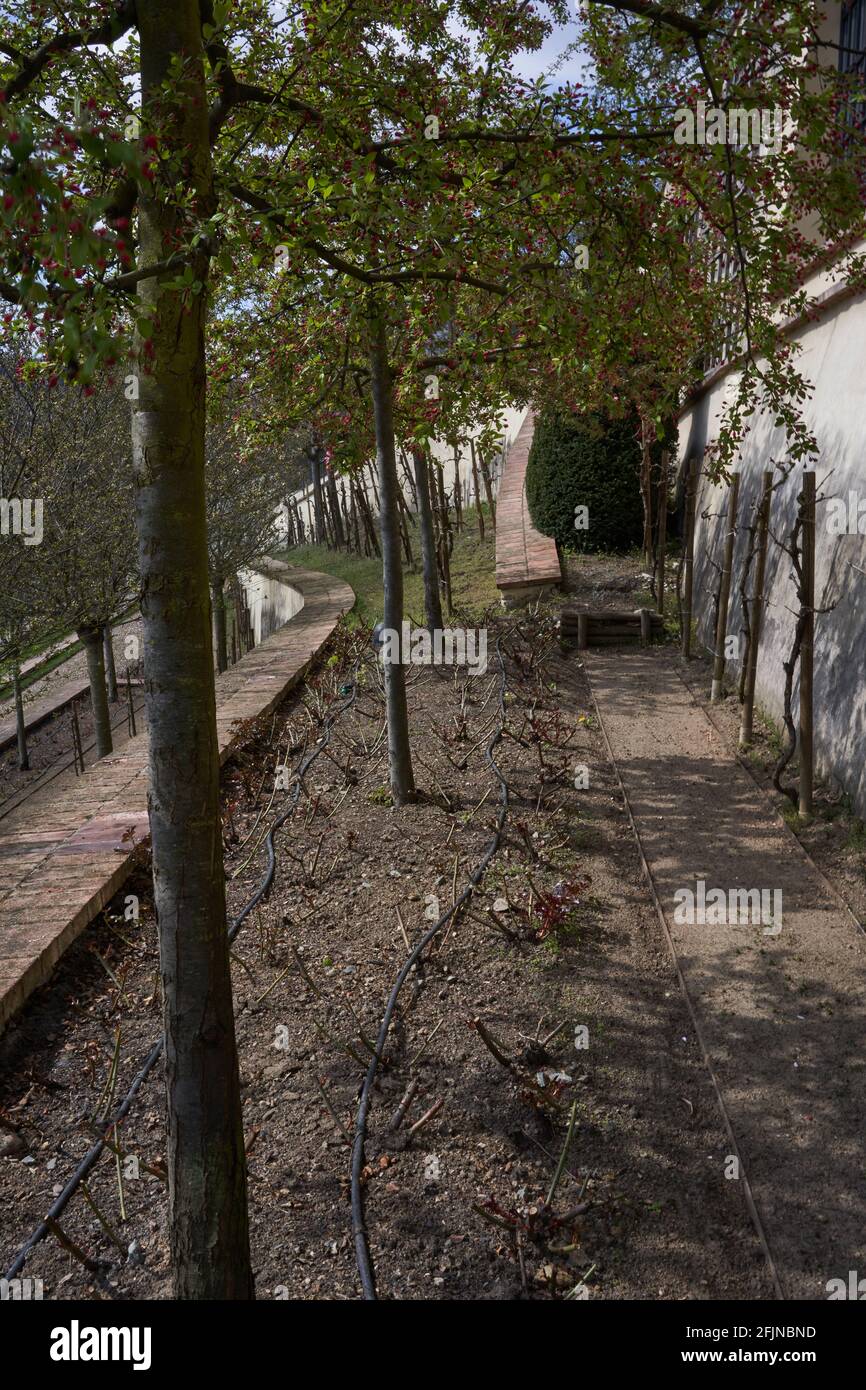 Praga, Repubblica Ceca - 23 aprile 2021 - il Grande Giardino di Fürstenberg in un pomeriggio di sole primavera vicino al Castello di Praga. Foto Stock