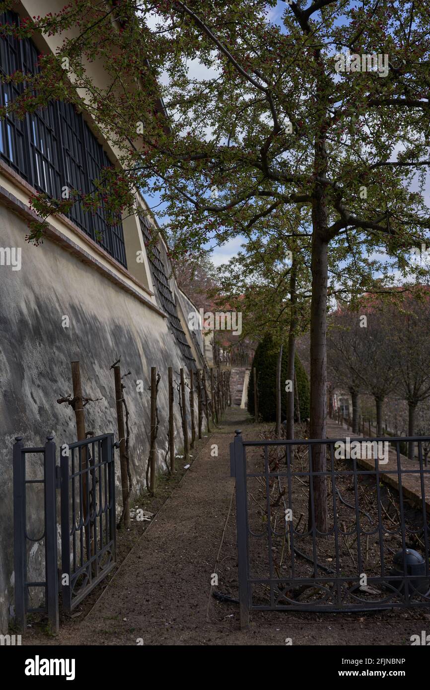 Praga, Repubblica Ceca - 23 aprile 2021 - il Grande Giardino di Fürstenberg in un pomeriggio di sole primavera vicino al Castello di Praga. Foto Stock